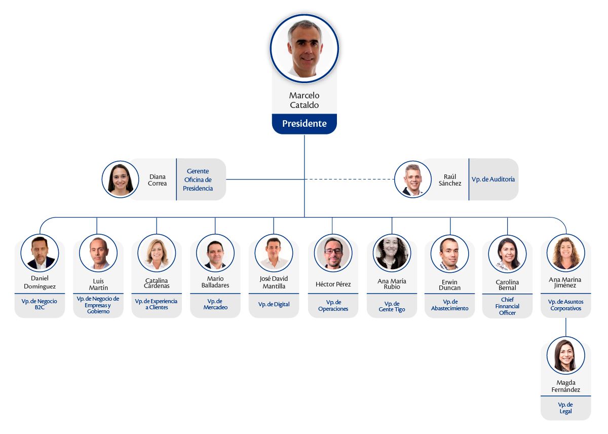 Estructura directiva